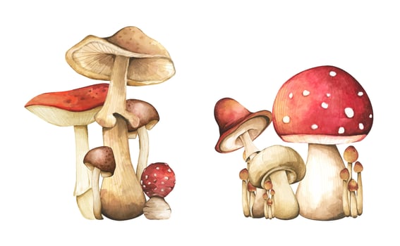 Red toadstools .Forest mushrooms elements illustration watercolor style collection. vector