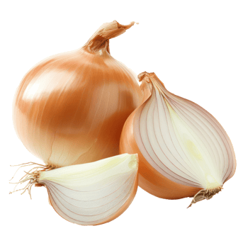 whole and half Onion isolate on transparency background png