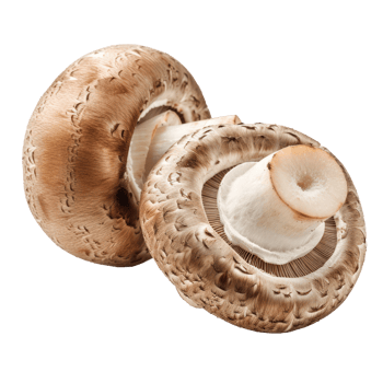 whole and half champignon mushrooms isolate on transparency background png