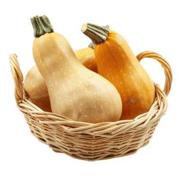 Pumpkin isolate on white background png