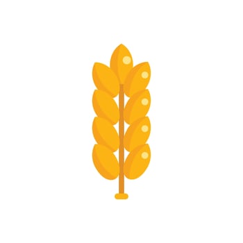 Ripe wheat stalk standing tall on white background vector