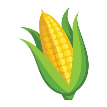 Detailed Corn Graphic Illustration- White Background vector