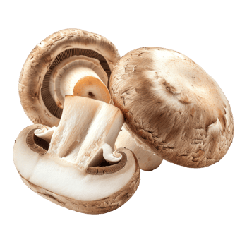 whole and half champignon mushrooms isolate on transparency background png