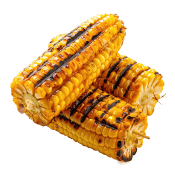 Grilled corn isolate on transparency background png