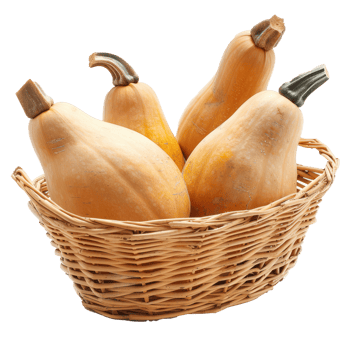 a basket with three squash in it isolate on white background png