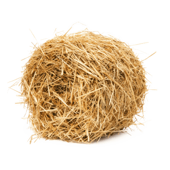 hay isolate on transparency background png