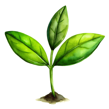 watercolor hand drawn Young green plant png