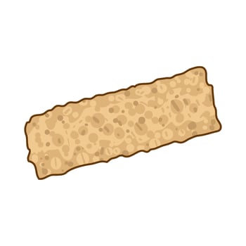 Illustration of tempe vector