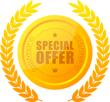 Special offer, sale label, gold award. illustration. png