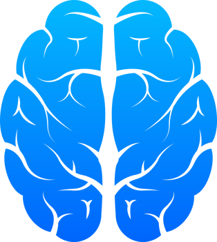 Human brain medical. Internal organ. Neural network. Brainstorming, idea. png