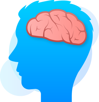 Human brain medical. Internal organ. Neural network. Brainstorming, idea. png