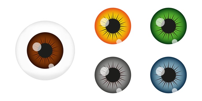 Human eye ball constructor with brown, green, gray, blue pupils. Eyeball creation tool. Espionage, curiosity, spying, surveillance concept vector