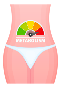 Metabolism level scale, speedometer, indicators. Metabolism medical. png