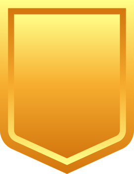 Set of shields. Protect signs. Knight award. Security label png