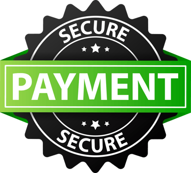 Secure payment label. Maximum security and reliability when paying online png
