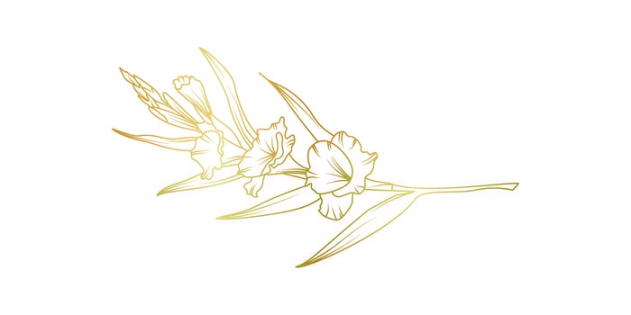 Gladiolus flowers line art isolated on white background. Luxury gladiolus floral golden design elements for invitation, wedding, wallpaper, print template, illustration vector