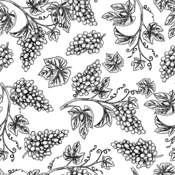 Seamless pattern with the image of grapes and vines. A graphic illustration drawn by hand. On a white background. For packaging and label design. For banners, textiles and more. vector