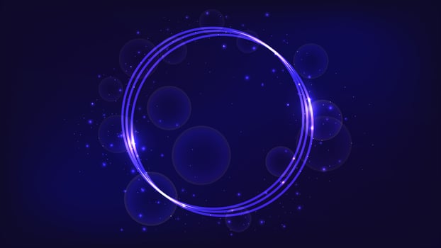 Neon round frame with shining effects and sparkles vector
