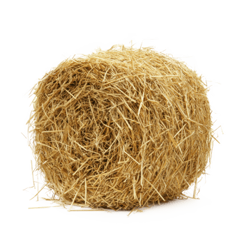 hay isolate on transparency background png