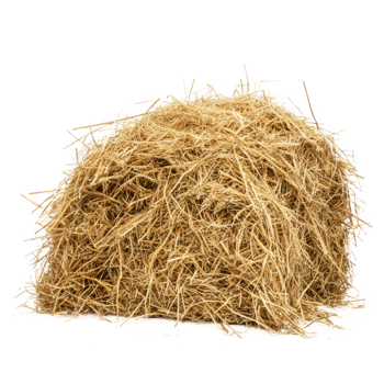 hay side view isolate on transparency background png