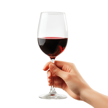 Woman hand holding glass of red wine png