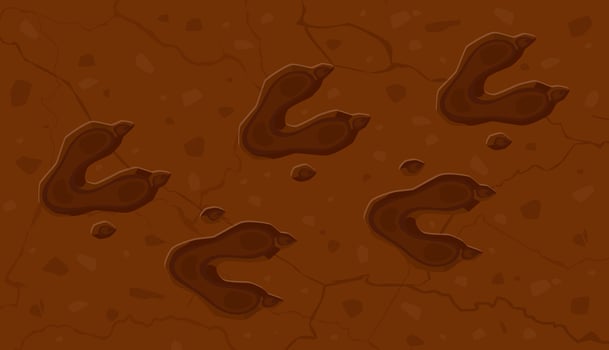 Prehistoric era dinosaur footprints on the ground vector