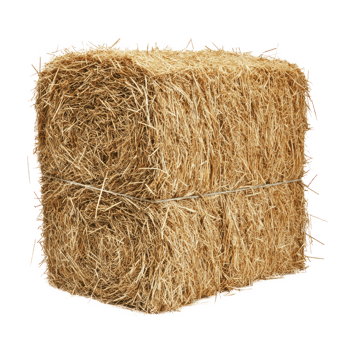 hay side view isolate on transparency background png