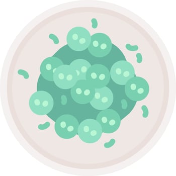 A plate with green balls on it vector