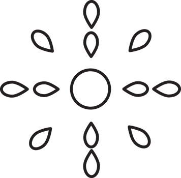 Minimalist Botanical Doodle Drawing png
