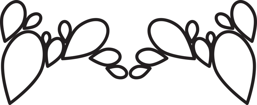 Botanical Leaf Outline png