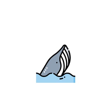 A whale is swimming in the water vector