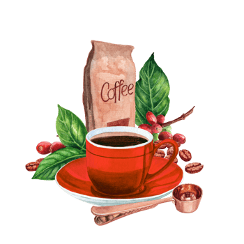 Hand drawn illustration of a red cup whith coffee. roasted and red coffee beans whith leaves png