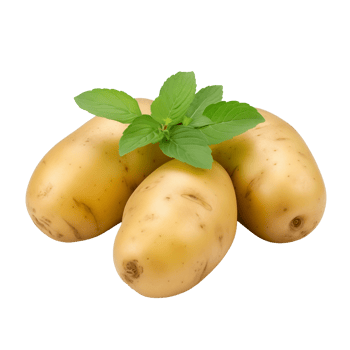 Three Fresh Yellow Potatoes With Green Leaves On Transparent Background png
