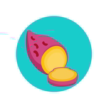 illustration of a sweet potato vector