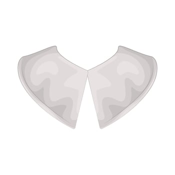 Illustration of collar vector