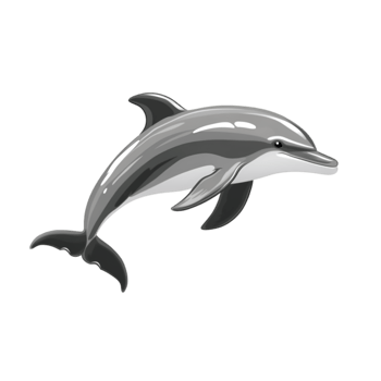 Dolphin , Marine Animal Illustration png