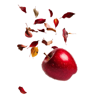 Red apple surrounded by falling autumn leaves transparent png