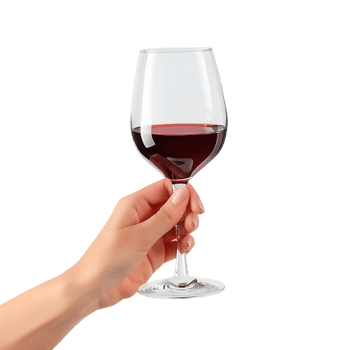 Female Hands Holding Red Wine Glasses on Transparent Background png