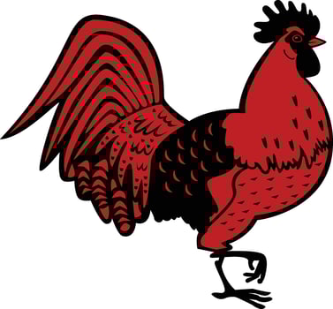 Red Rooster Chicken illustration on a white Background vector