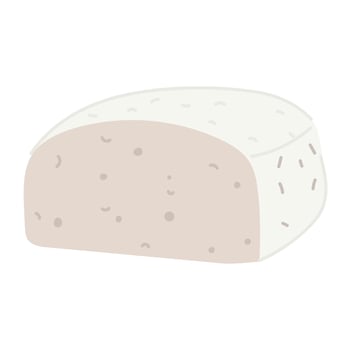 A piece of Feta cheese in a flat style, highlighted on a white background. A whole piece of pressed molded dairy product. White Greek cottage cheese made from sheep's milk or milk beans vector