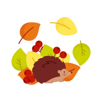 Cute autumn hedgehog in a composition of autumn leaves and berries vector