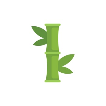 Green bamboo stem growing with leaves vector