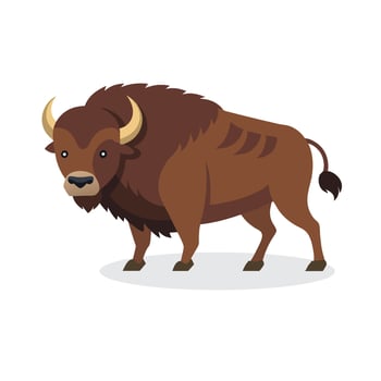 Bison animal isolated flat illustration on white background. vector