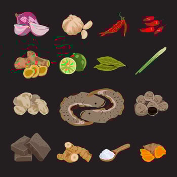 Ingredients and cooking spices for gabung pucung vector