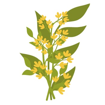 Bouquet of flower vector