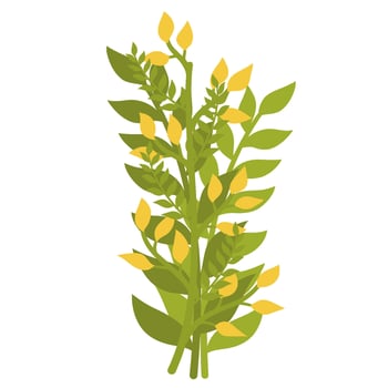 a green plant with yellow flowers on it vector