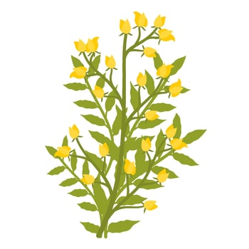 Bouquet of yellow flower vector