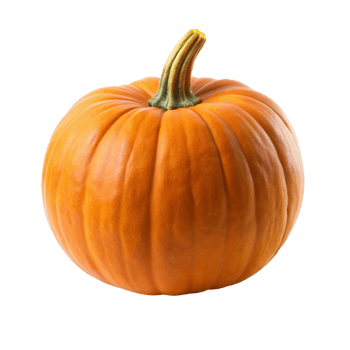 Pumpkin on transparent background png