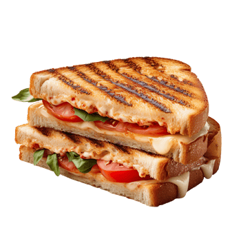 Grilled sandwich isolated on transparent background png