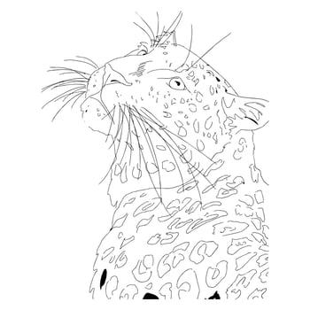 a tiger with a mustache vector